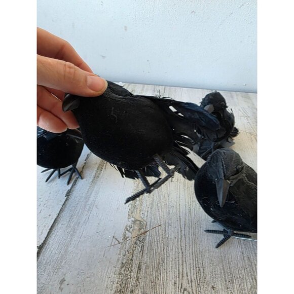 Greenbrier graveyard Crow Bird Halloween realistic prop feather decor - Picture 7 of 11